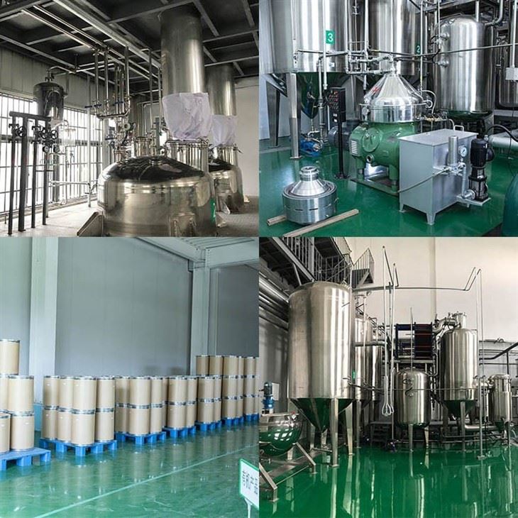 Cloudberry Powder factory